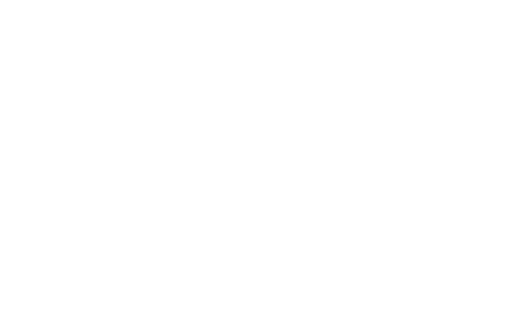 https://laanappelman.nl/images/footer-logo.png